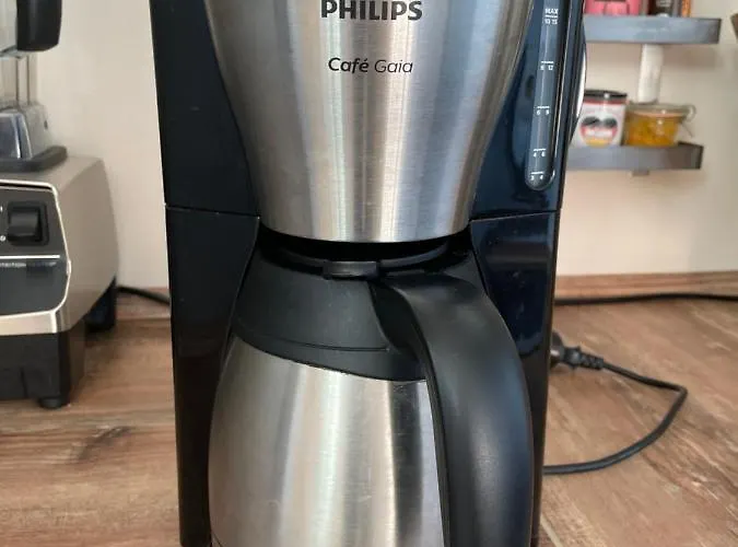 Dachterrassen Idylle über Den Dächern Dresdens * Dresden