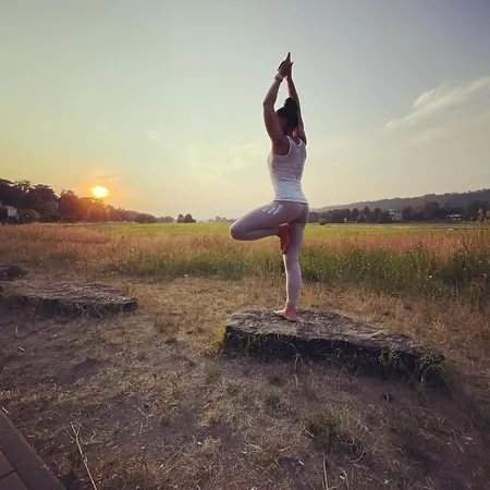 Appartement Dachterrassen Idylle Ueber Den Daechern Dresdens *