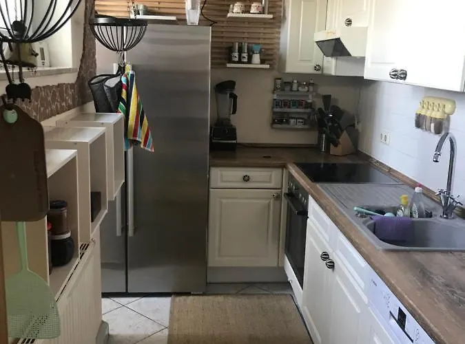 Appartement Dachterrassen Idylle Ueber Den Daechern Dresdens *