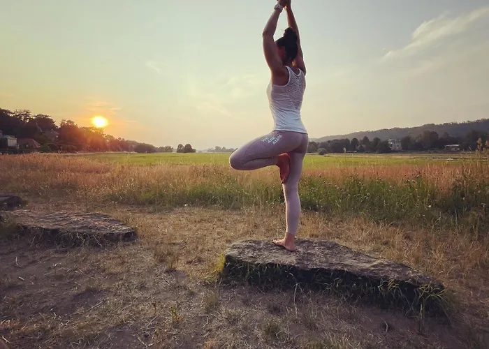 Appartement Dachterrassen Idylle Ueber Den Daechern Dresdens *